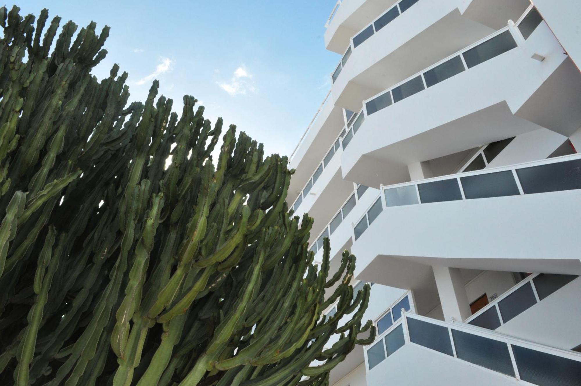 פלאייה דל אינגלז Apartamentos Calma מראה חיצוני תמונה